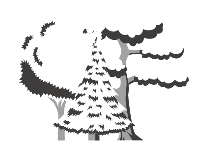 arbres